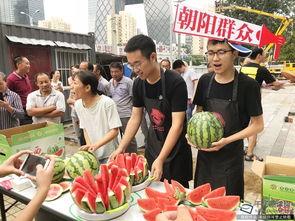 朝阳区热心群众吃瓜网,揭秘社区热点事件背后的故事
