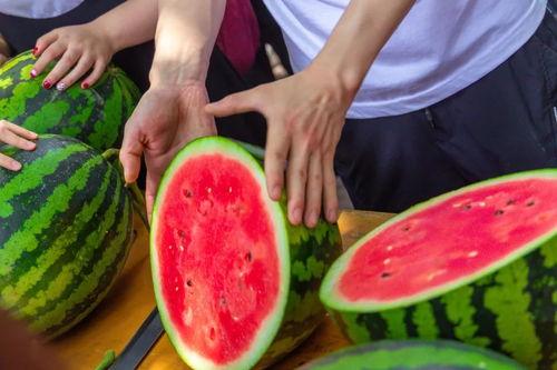 晋中学院网红吃瓜