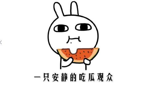 抖音网红吃瓜都有谁了,揭秘热门事件背后的瓜界势力