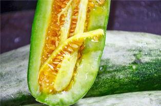 可以吃所有网红瓜的网站