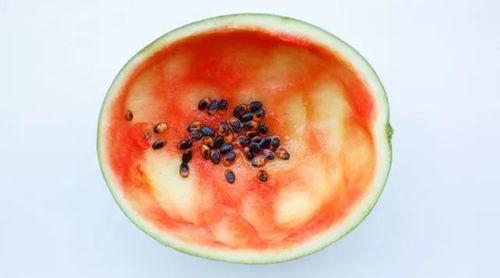 吃瓜网红小勺子视频,揭秘娱乐圈幕后故事