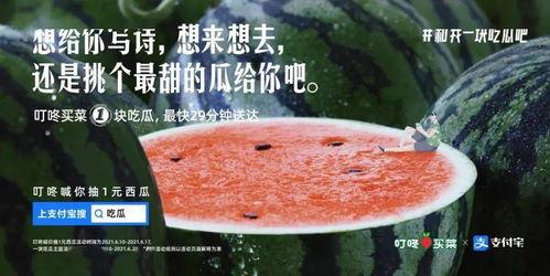 娱乐吃瓜文案啊什么意思,揭秘幕后故事，轻松解读热门话题