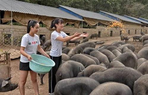 韩城吃瓜事件网红叫什么